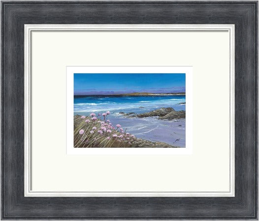 Sea Pinks, Tiree by A Young