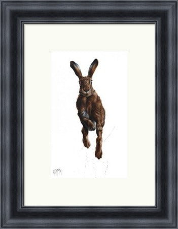 Highland Spring Hare Art Printby Georgina McMaster