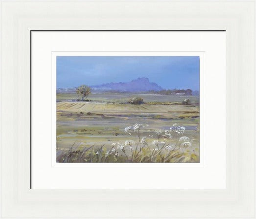 Stirling Castle from Bridge of Allan by Allison Young framed wall art print showing Stirling Castle from Bridge of Allan with surrounding Scottish landscape