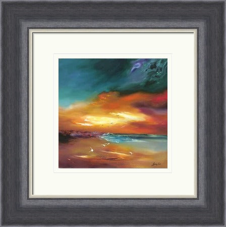 Freedom to Stay by Lillias Blackie