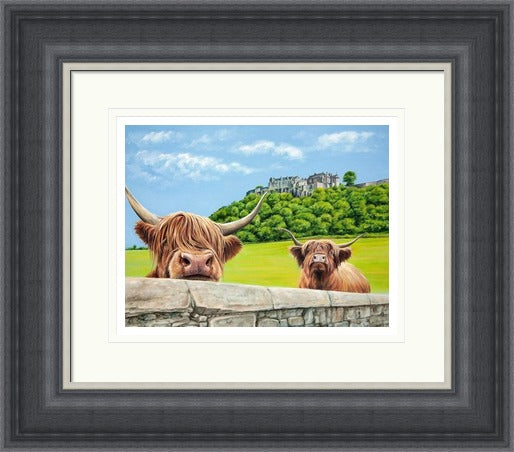 Heilan Coos at Stirling Castle by Scott McGregor