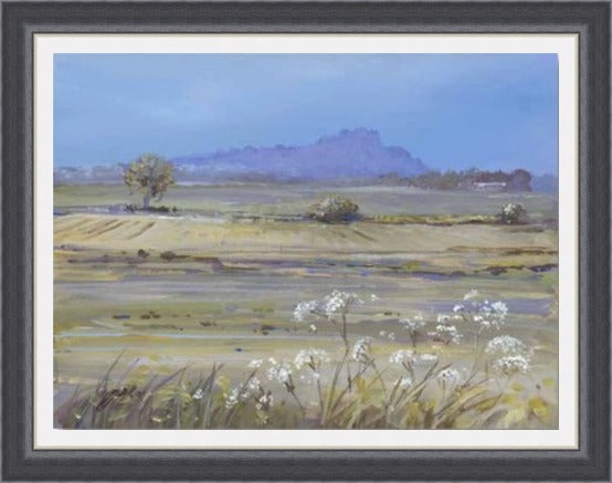 Stirling Castle from Bridge of Allan by Allison Young