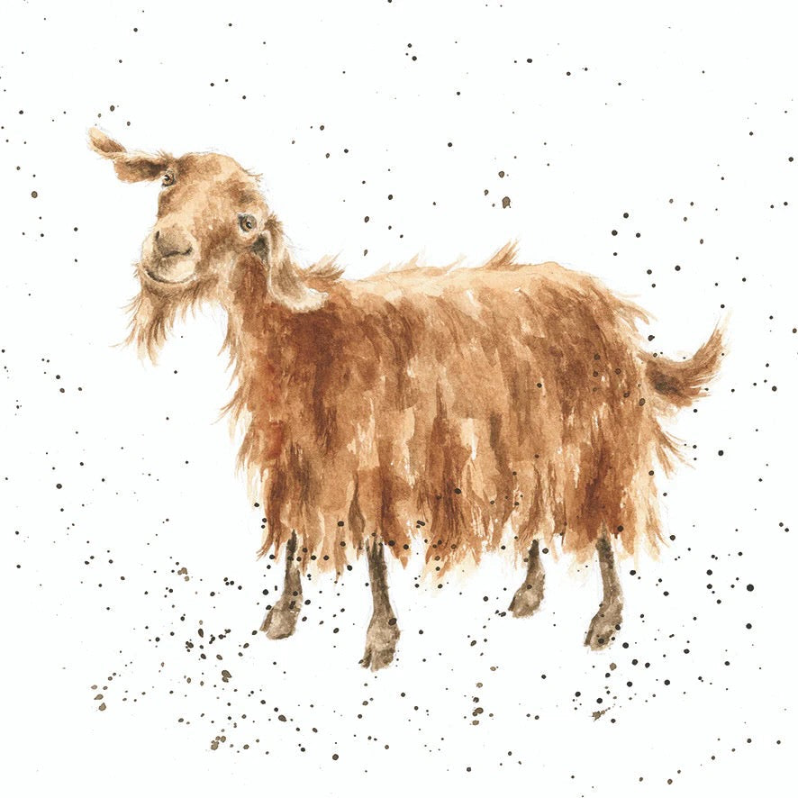 The Hipster -  Wrendale Designs by Hannah Dale