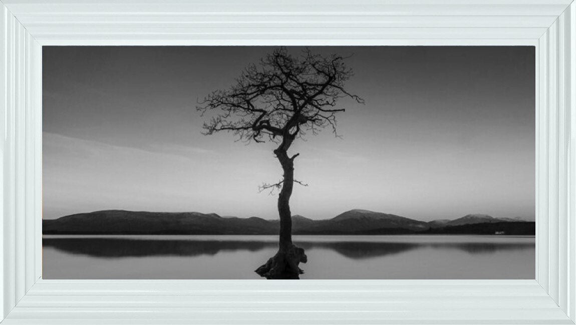 Reflected Tree, Loch Lomond - Black and White