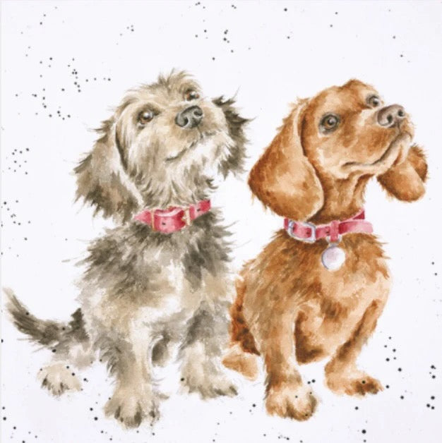 Treat Time -  Wrendale Designs by Hannah Dale