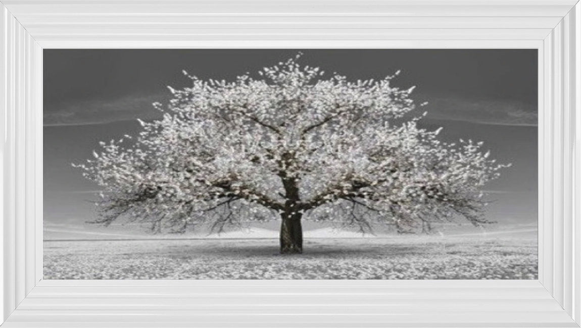 White Cherry Blossom Tree