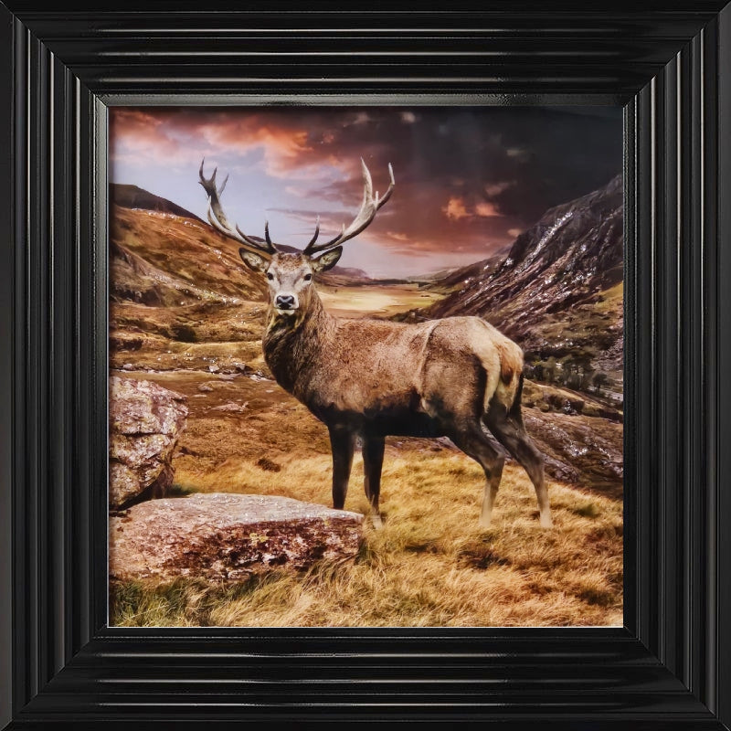 Stag