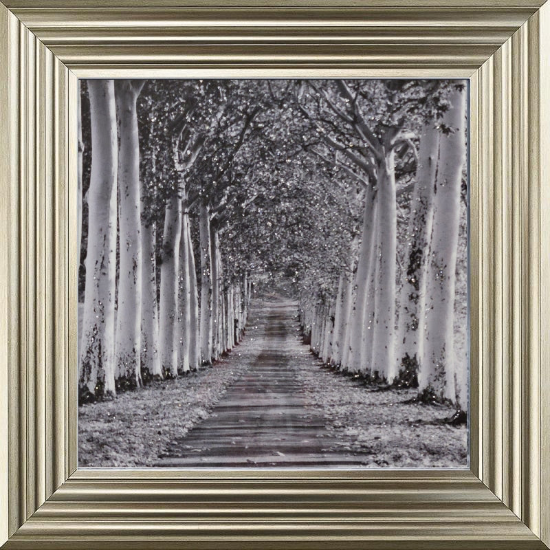 Tree Lined Walk