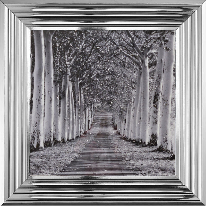 Tree Lined Walk