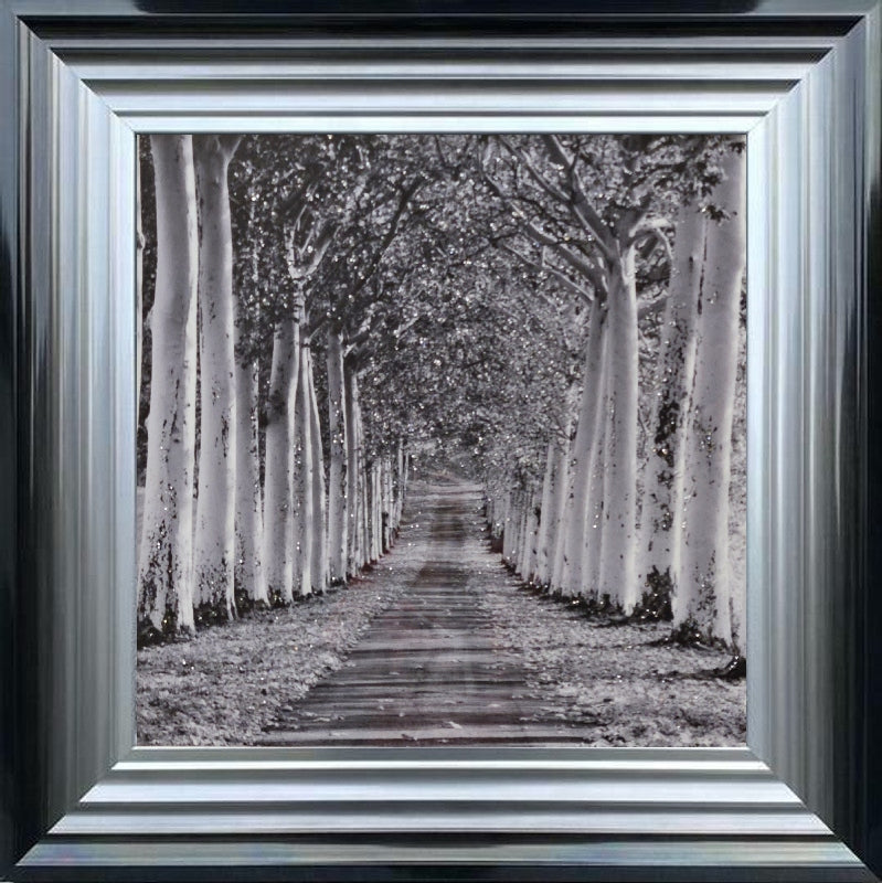 Tree Lined Walk