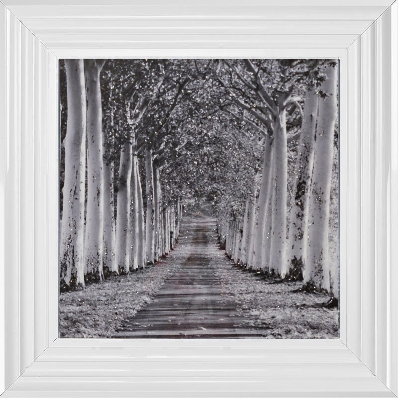 Tree Lined Walk