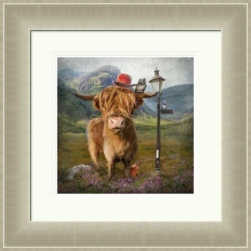 Highland Cow by Matylda Konecka