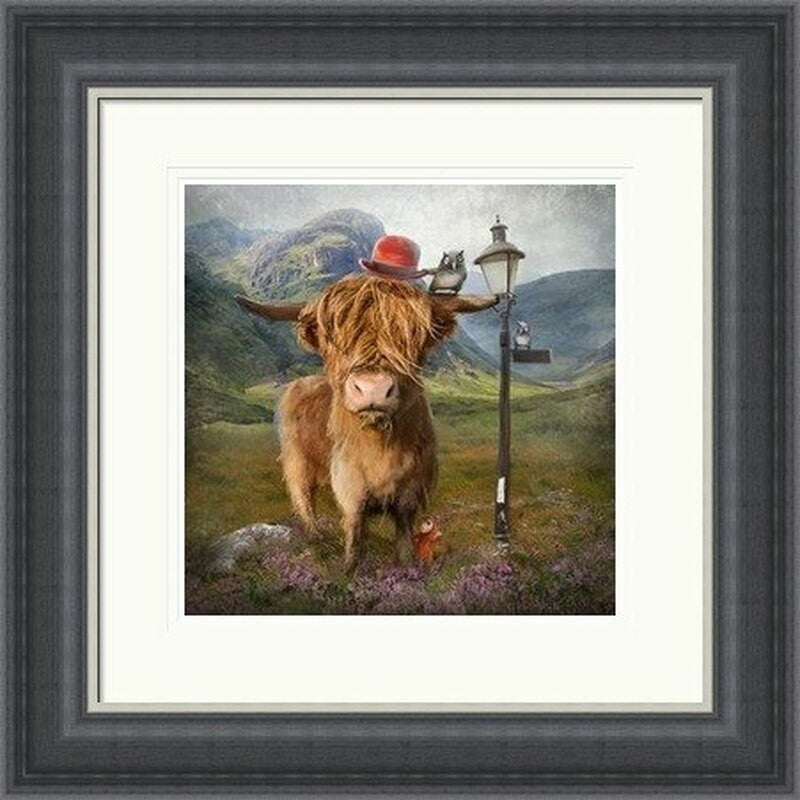 Highland Cow by Matylda Konecka