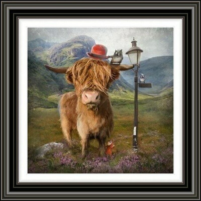 Highland Cow by Matylda Konecka