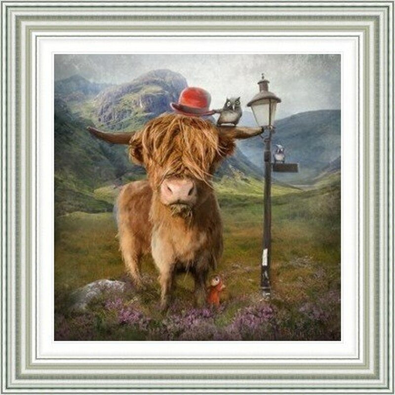 Highland Cow by Matylda Konecka