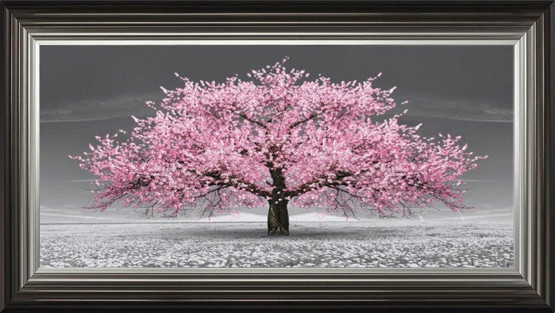 Pink Cherry Blossom Tree