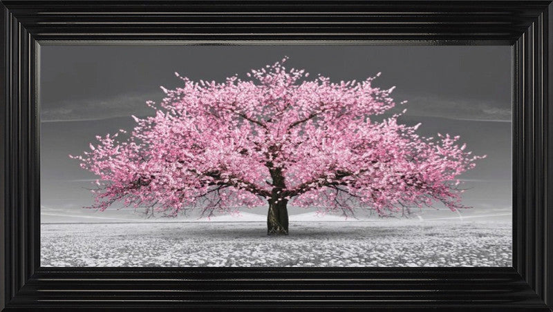 Pink Cherry Blossom Tree