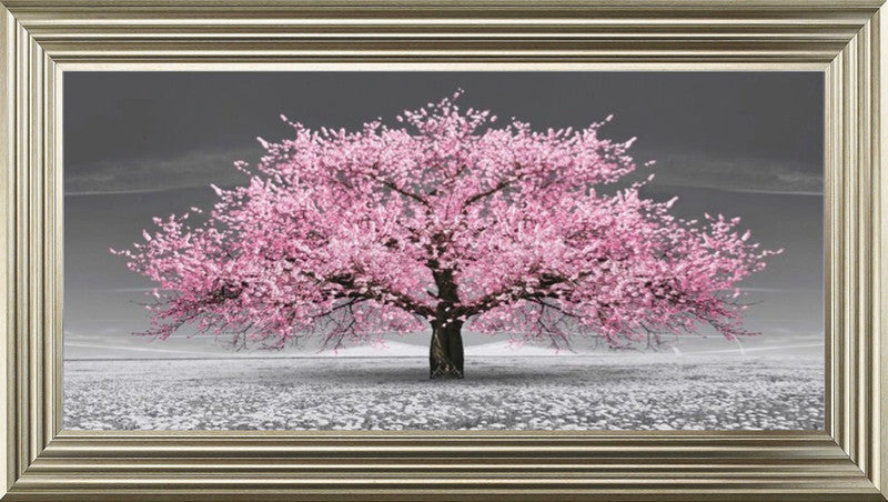 Pink Cherry Blossom Tree