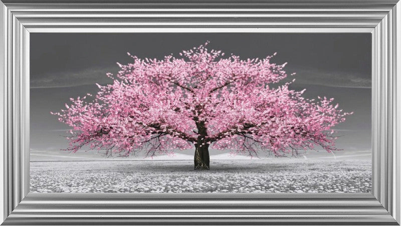 Pink Cherry Blossom Tree