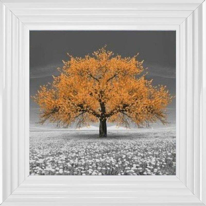 Orange Cherry Blossom Tree