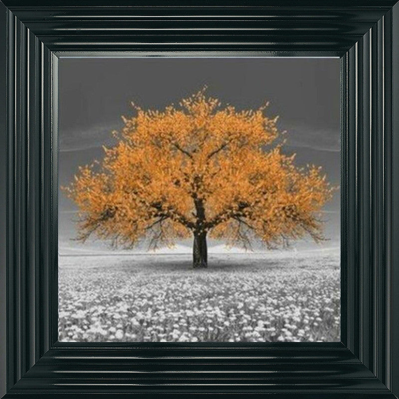 Orange Cherry Blossom Tree