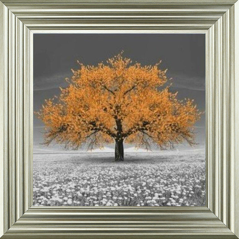 Orange Cherry Blossom Tree