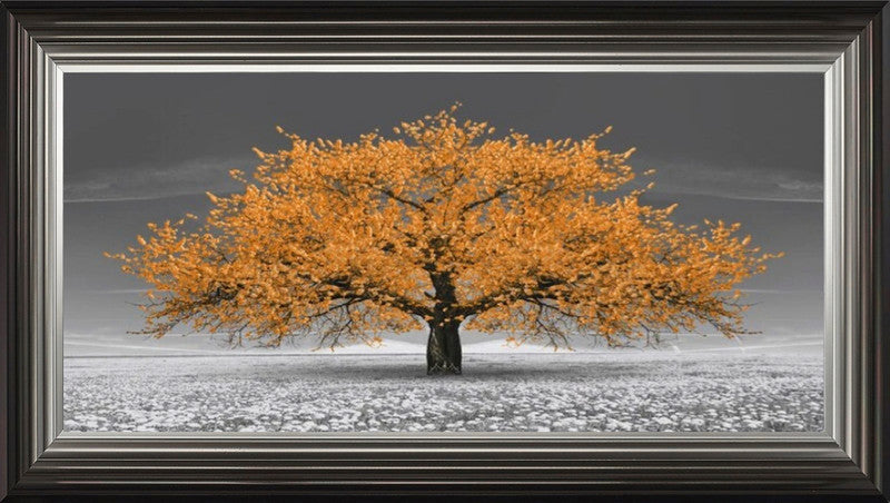 Orange Cherry Blossom Tree