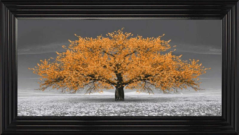 Orange Cherry Blossom Tree