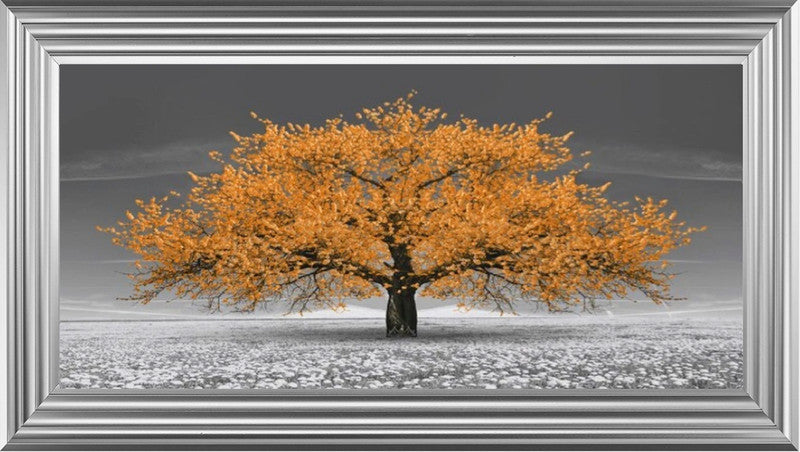 Orange Cherry Blossom Tree