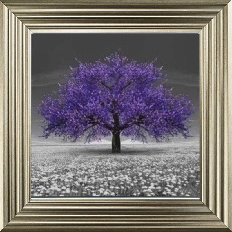 Purple Cherry Blossom Tree