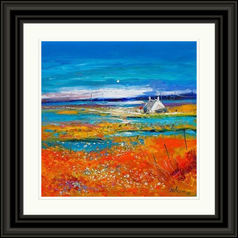 Machair Wild Cotton and Wild Flowers, South Uist by Jolomo