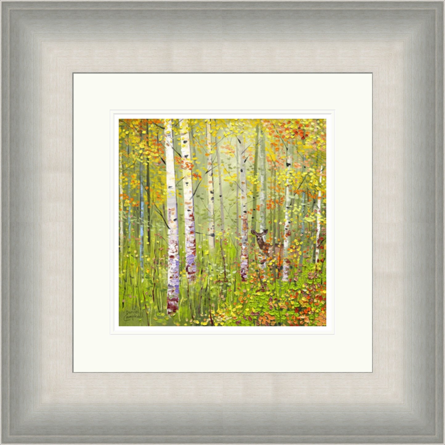 Silver Birches In Spring by Daniel Campbell