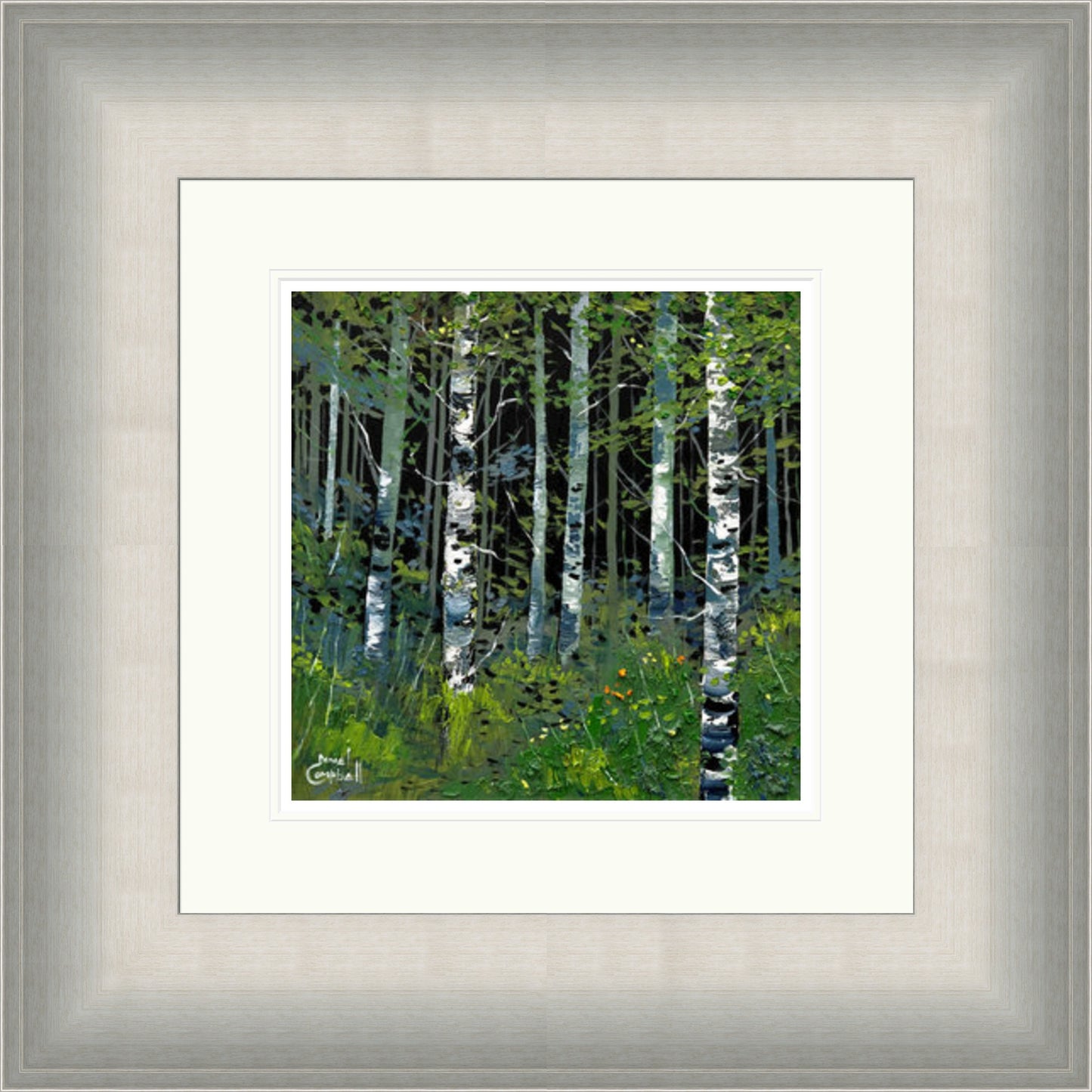 Silver Birches In Summer by Daniel Campbell