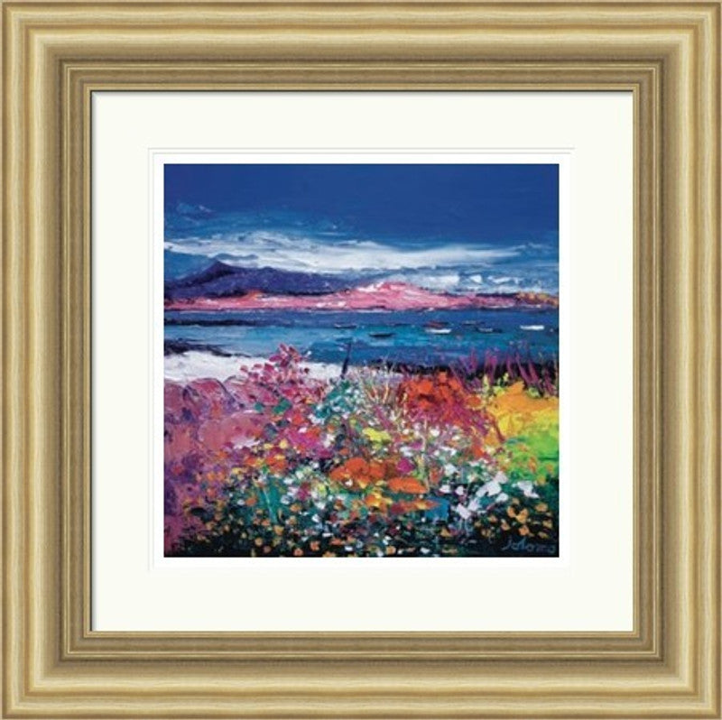 Front Gardens & the Moorings, Iona by Jolomo
