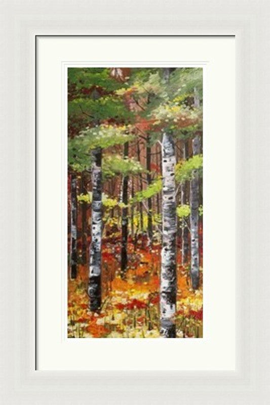 Silver Birches and Poppies by Daniel Campbell