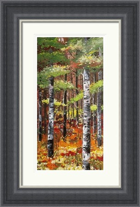 Silver Birches and Poppies by Daniel Campbell framed wall art print featuring pale silver birch trunks alongside vivid poppies and soft natural colour
