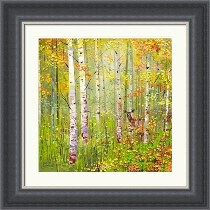 Silver Birches In Spring by Daniel Campbell framed wall art print featuring silver birch trees surrounded by the fresh colour and light of spring