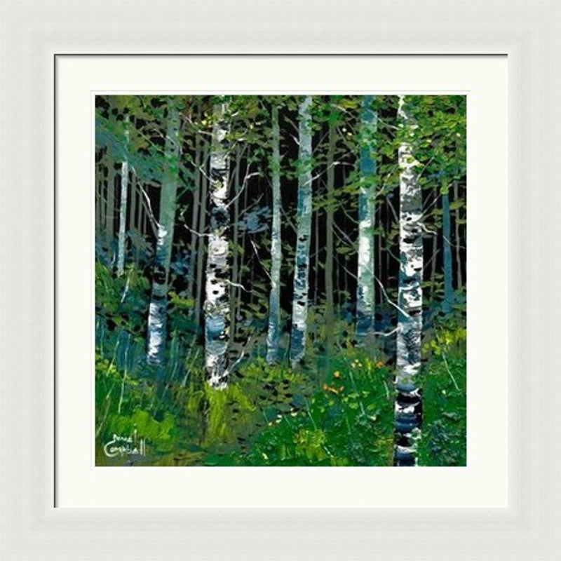 Silver Birches In Summer by Daniel Campbell framed wall art print featuring silver birch trees set within a brighter summer landscape