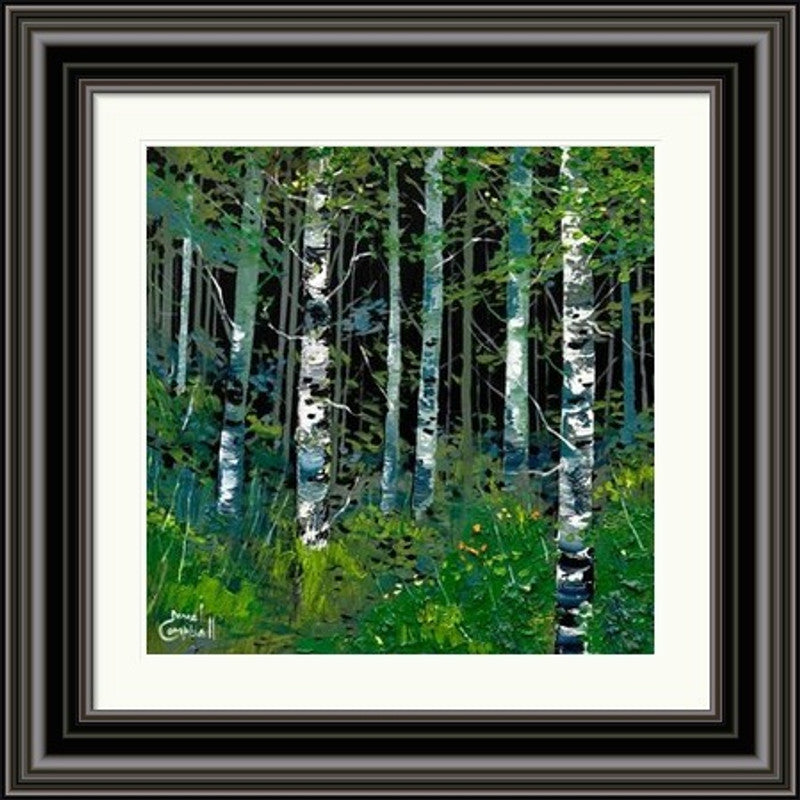 Silver Birches In Summer by Daniel Campbell framed wall art print featuring silver birch trees set within a brighter summer landscape