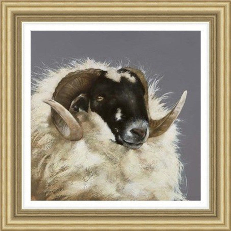 Handsome Ram by Lesley McLaren