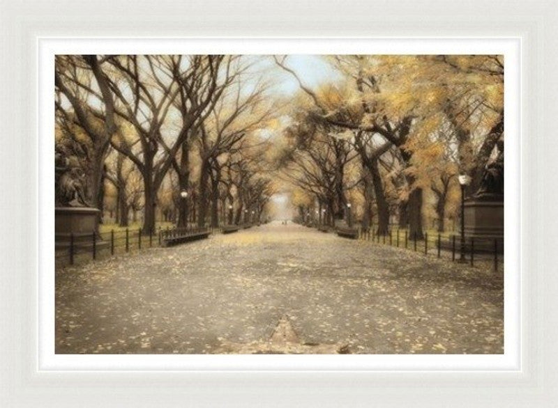 Walking in Central Park