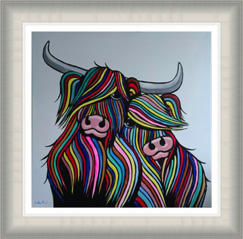 Wee Hug Heilan Coos by Callum Nicol