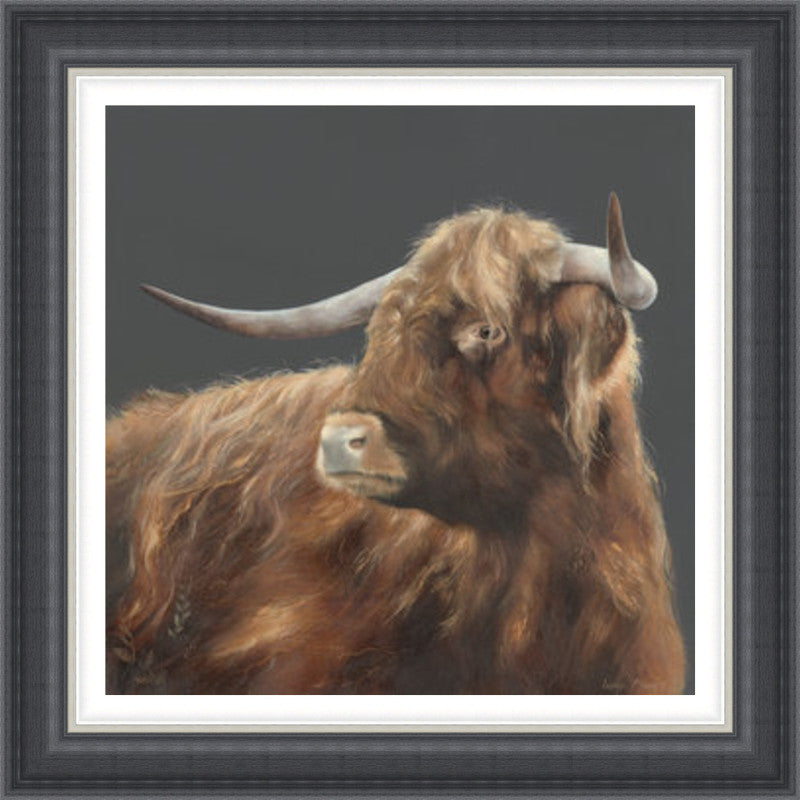 Angus by Lesley McLaren