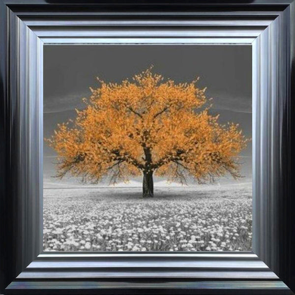 Orange Cherry Blossom Tree