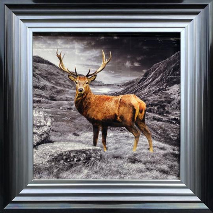 Animal Liquid Art UK | Framed Wildlife Wall Art with Sparkling Liquid ...