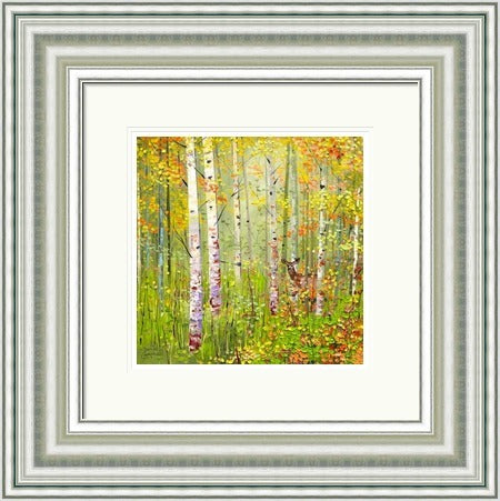 Silver Birches In Spring by Daniel Campbell framed wall art print featuring silver birch trees surrounded by the fresh colour and light of spring