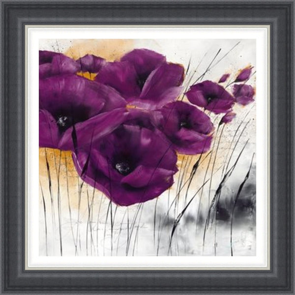 Pavot violet IV by Isabelle Zacher-Finet