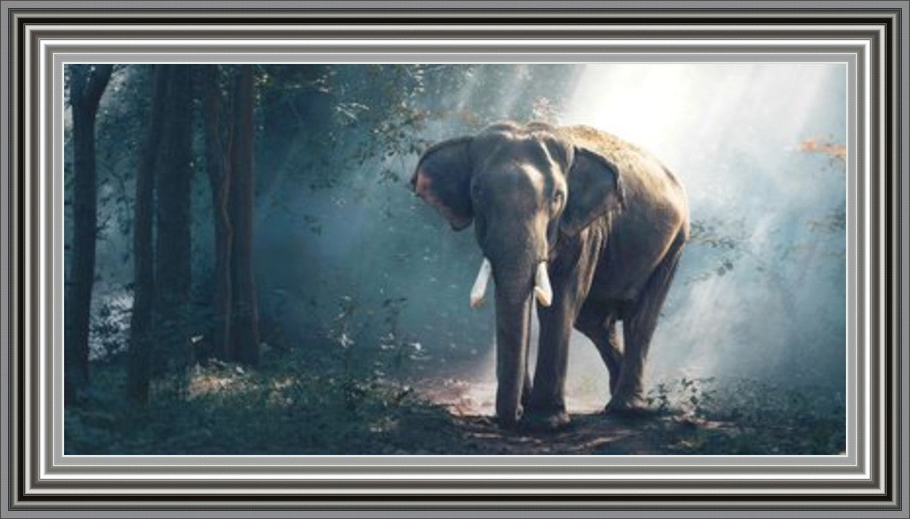 Jungle Elephant