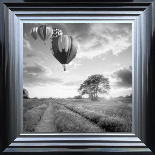Hot Air Balloons - Black and White