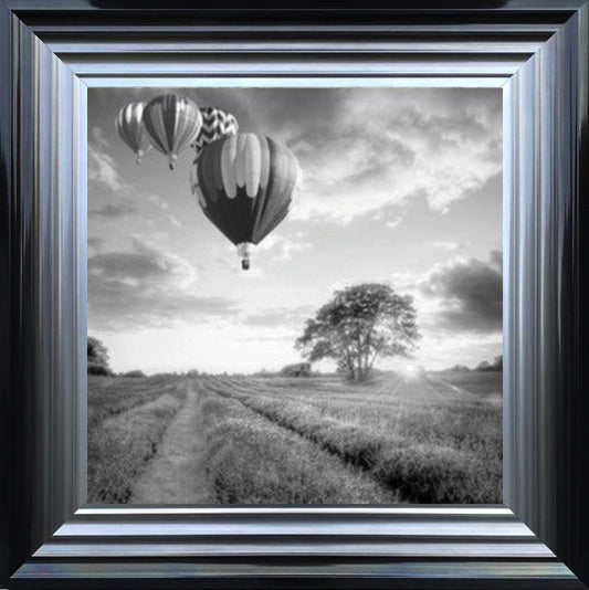 Hot Air Balloons - Black and White